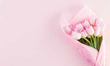flowers-banner-medium-top.jpg flowers-banner-medium-top.jpg
